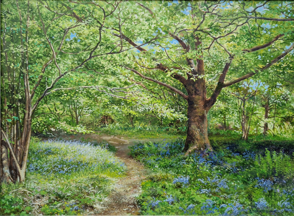 'A Walk Through the Bluebells' original painting , `SOLD