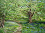 'A Walk Through the Bluebells' original painting , `SOLD