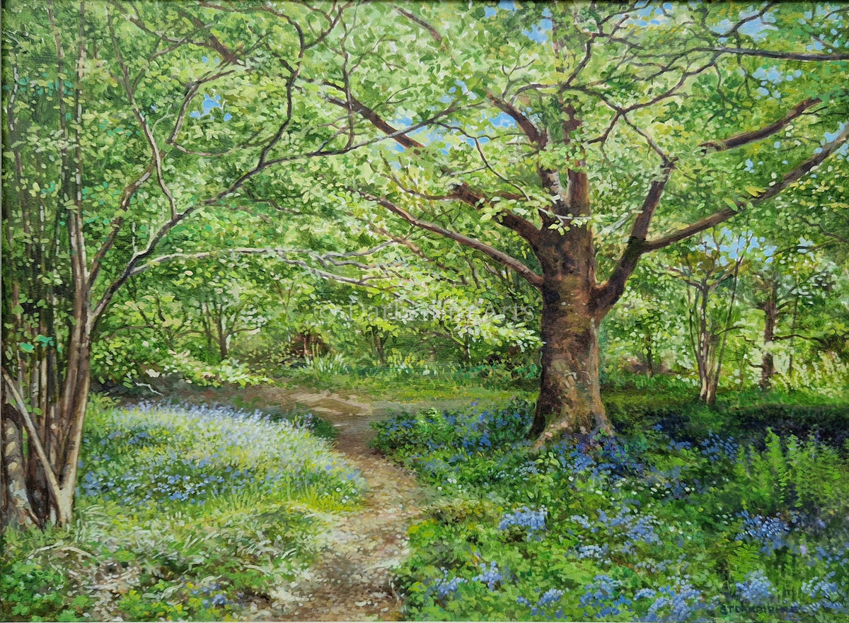 'A Walk Through the Bluebells' original painting , `SOLD