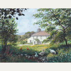 Large Prints - Stephen