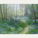 Large Cards - Stephen