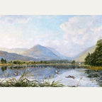 Large Cards - Stephen