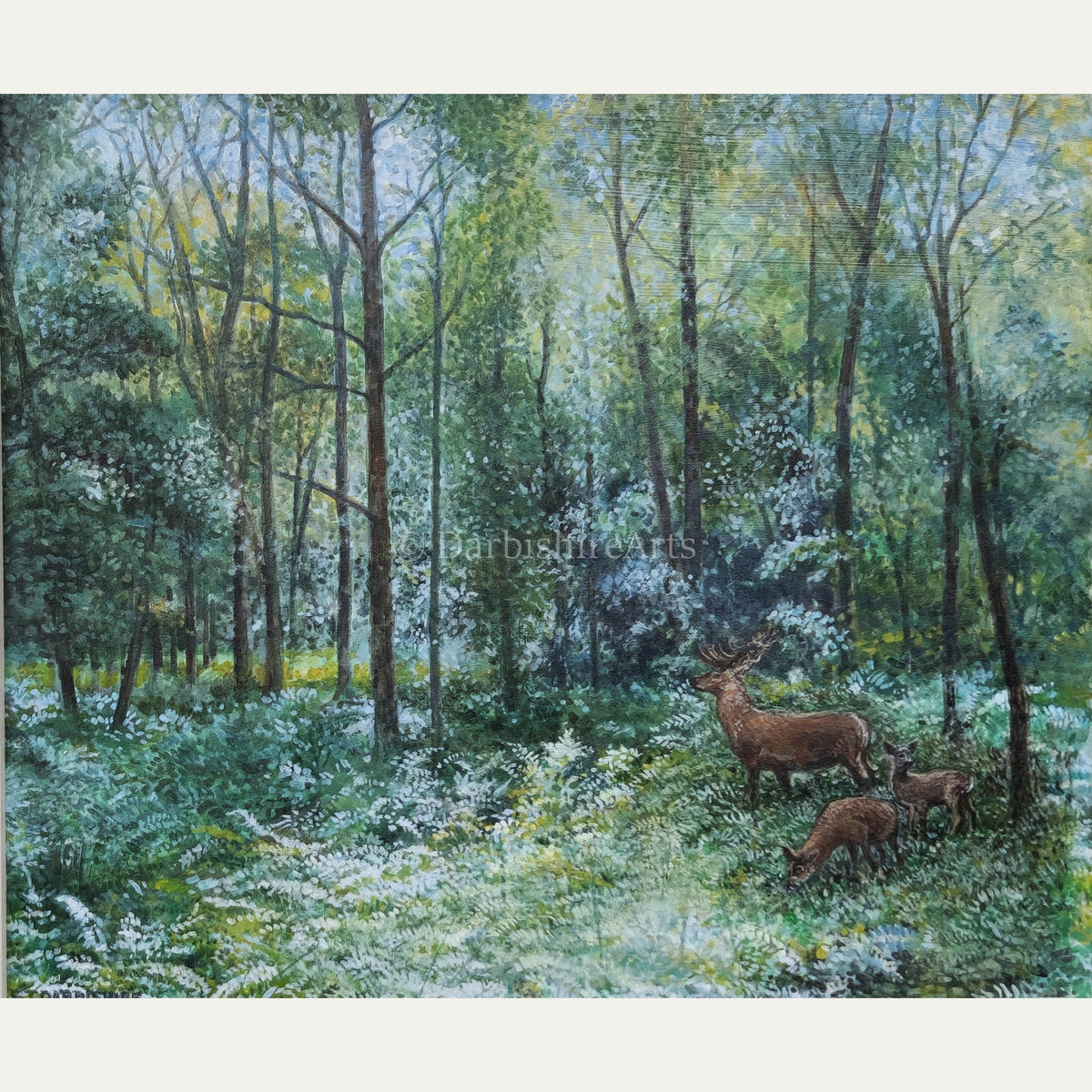 'Meadows Wood, Skelwith' original painting `SOLD`